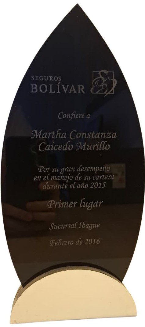 1°er lugar excelente desempeño de cartera